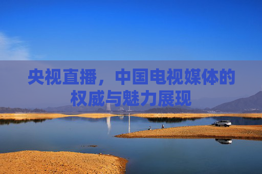 央视直播，中国电视媒体的权威与魅力展现