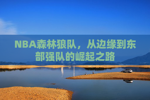 NBA森林狼队，从边缘到东部强队的崛起之路