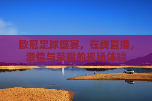 欧冠足球盛宴,在线直播,激情与荣耀的现场体验 欧冠足球盛宴,在线直播,激情与荣耀的现场体验