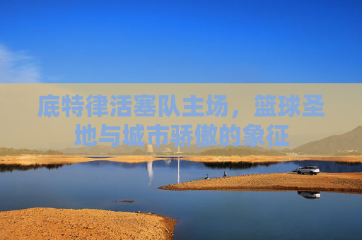底特律活塞队主场，篮球圣地与城市骄傲的象征
