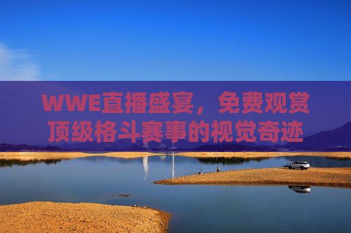 WWE直播盛宴，免费观赏顶级格斗赛事的视觉奇迹