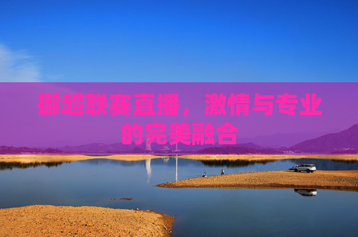 挪超联赛直播，激情与专业的完美融合