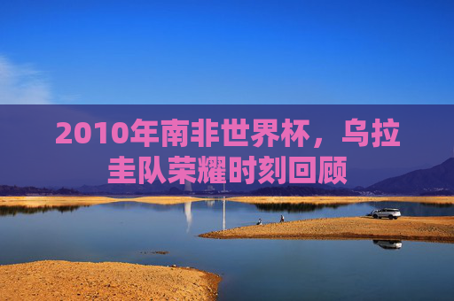 2010年南非世界杯，乌拉圭队荣耀时刻回顾