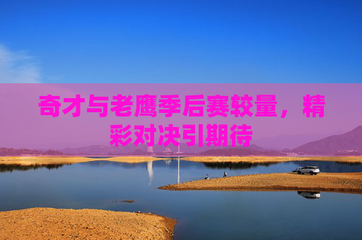 奇才与老鹰季后赛较量,精彩对决引期待 奇才与老鹰季后赛较量,精彩对决引期待