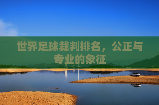 世界足球裁判排名，公正与专业的象征