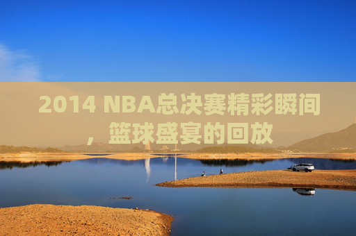 2014 NBA总决赛精彩瞬间，篮球盛宴的回放