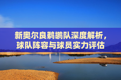 新奥尔良鹈鹕队深度解析，球队阵容与球员实力评估