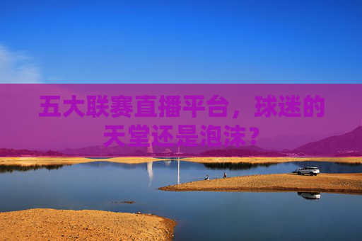 五大联赛直播平台，球迷的天堂还是泡沫？