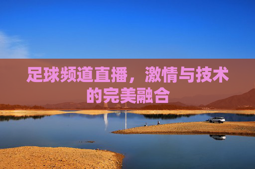 足球频道直播，激情与技术的完美融合