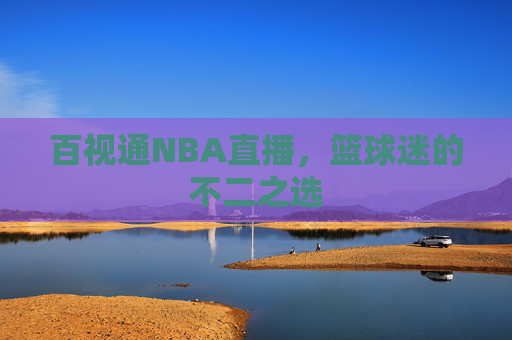 百视通NBA直播，篮球迷的不二之选