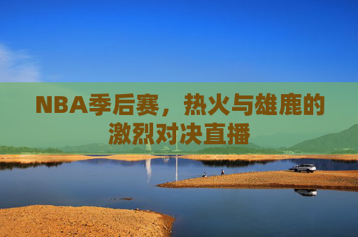NBA季后赛，热火与雄鹿的激烈对决直播