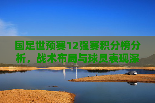国足世预赛12强赛积分榜分析,战术布局与球员表现深度剖析 国足世预赛12强赛积分榜分析,战术布局与球员表现深度剖析