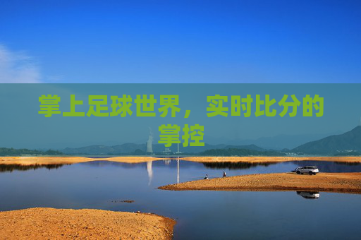 掌上足球世界，实时比分的掌控