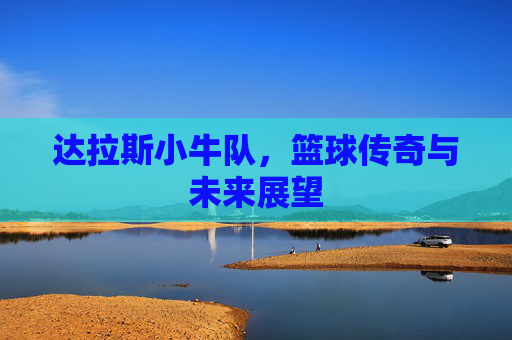 达拉斯小牛队，篮球传奇与未来展望