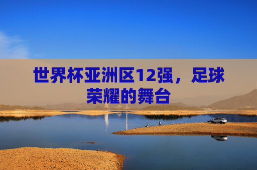 世界杯亚洲区12强，足球荣耀的舞台