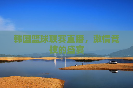 韩国篮球联赛直播，激情竞技的盛宴