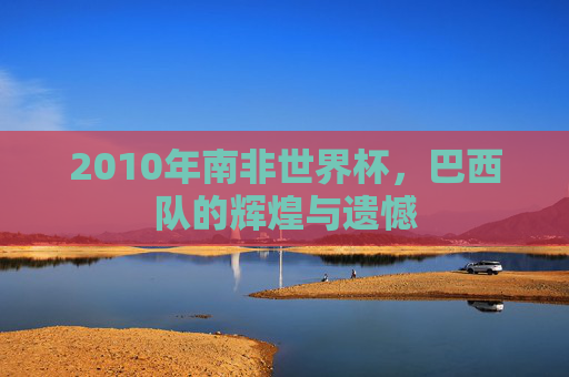 2010年南非世界杯，巴西队的辉煌与遗憾