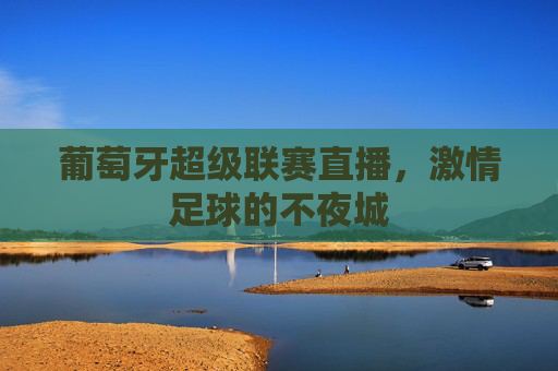 葡萄牙超级联赛直播，激情足球的不夜城