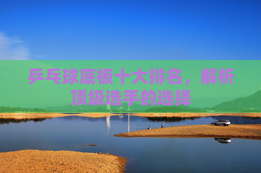 乒乓球底板十大排名，解析顶级选手的选择