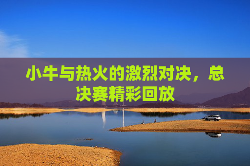 小牛与热火的激烈对决，总决赛精彩回放