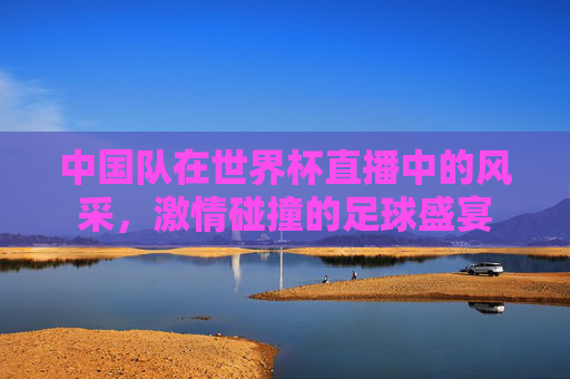 中国队在世界杯直播中的风采，激情碰撞的足球盛宴