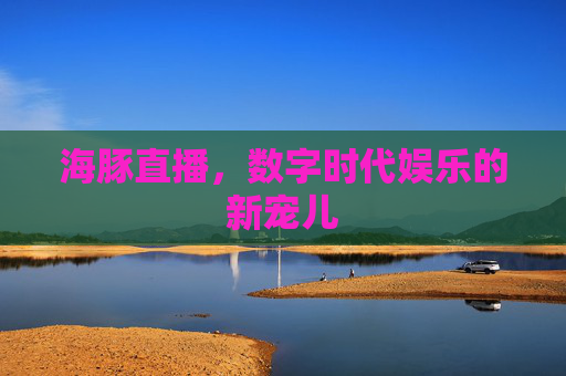 海豚直播，数字时代娱乐的新宠儿