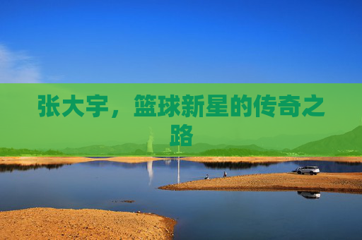 张大宇，篮球新星的传奇之路