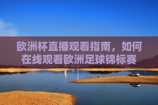 欧洲杯直播观看指南，如何在线观看欧洲足球锦标赛