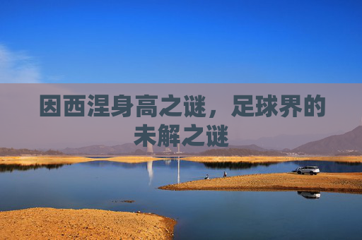 因西涅身高之谜，足球界的未解之谜