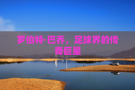罗伯特·巴乔,足球界的传奇巨星 罗伯特·巴乔,足球界的传奇巨星