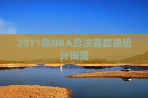 2011年NBA总决赛数据统计概览