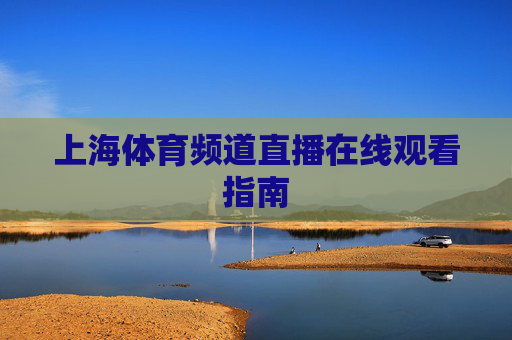 上海体育频道直播在线观看指南