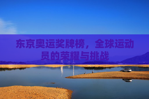 东京奥运奖牌榜，全球运动员的荣耀与挑战