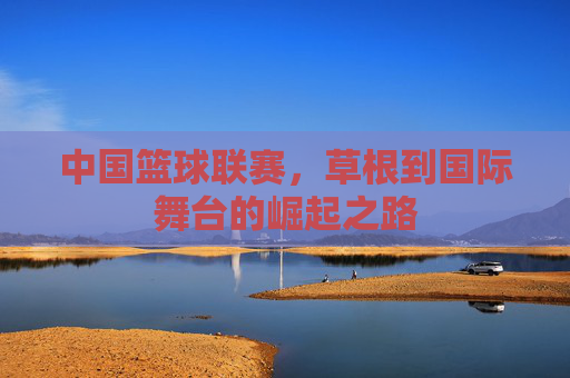 中国篮球联赛，草根到国际舞台的崛起之路