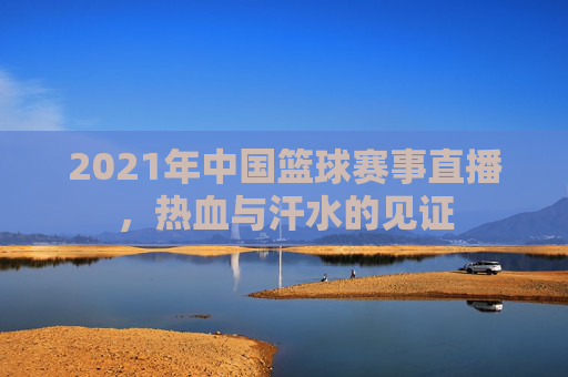 2021年中国篮球赛事直播，热血与汗水的见证