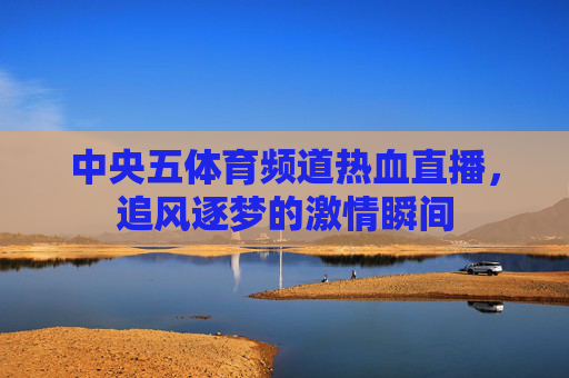 中央五体育频道热血直播，追风逐梦的激情瞬间