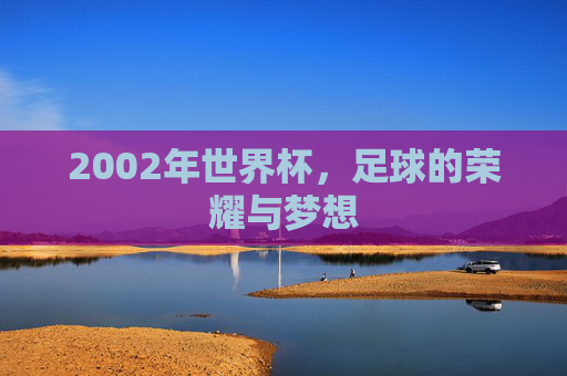 2002年世界杯,足球的荣耀与梦想 2002年世界杯,足球的荣耀与梦想