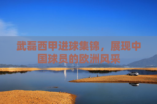 武磊西甲进球集锦，展现中国球员的欧洲风采