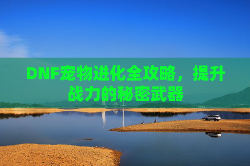 DNF宠物进化全攻略，提升战力的秘密武器