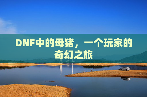 DNF中的母猪,一个玩家的奇幻之旅 DNF中的母猪,一个玩家的奇幻之旅