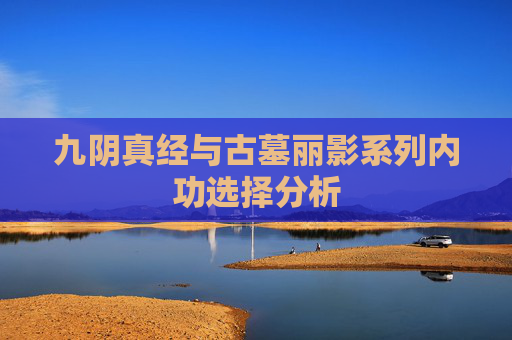 九阴真经与古墓丽影系列内功选择分析
