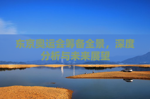 东京奥运会筹备全景，深度分析与未来展望