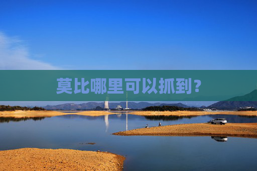 莫比哪里可以抓到? 莫比哪里可以抓到?
