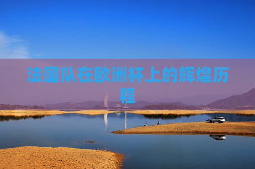 法国队在欧洲杯上的辉煌历程