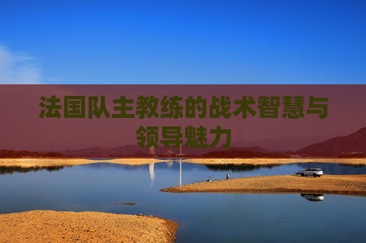 法国队主教练的战术智慧与领导魅力 法国队主教练的战术智慧与领导魅力