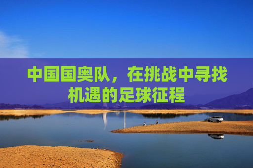 中国国奥队，在挑战中寻找机遇的足球征程