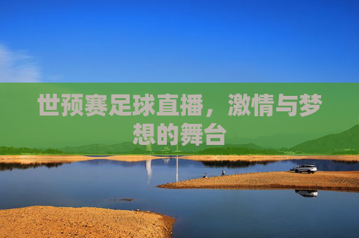 世预赛足球直播，激情与梦想的舞台