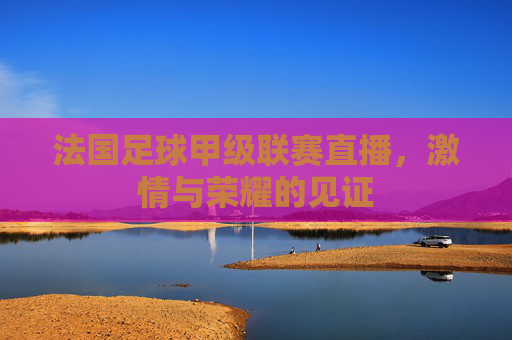 法国足球甲级联赛直播，激情与荣耀的见证