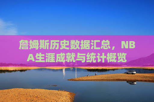 詹姆斯历史数据汇总，NBA生涯成就与统计概览