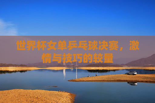 世界杯女单乒乓球决赛,激情与技巧的较量 世界杯女单乒乓球决赛,激情与技巧的较量